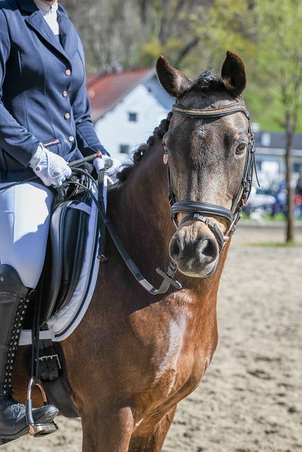 的全新高光 的全新高光